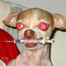 Avatar de Usuario